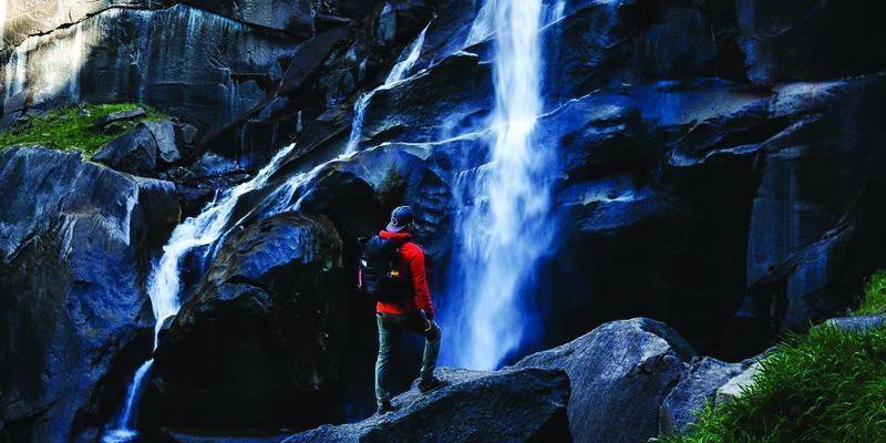 Live Free Adventure Pant