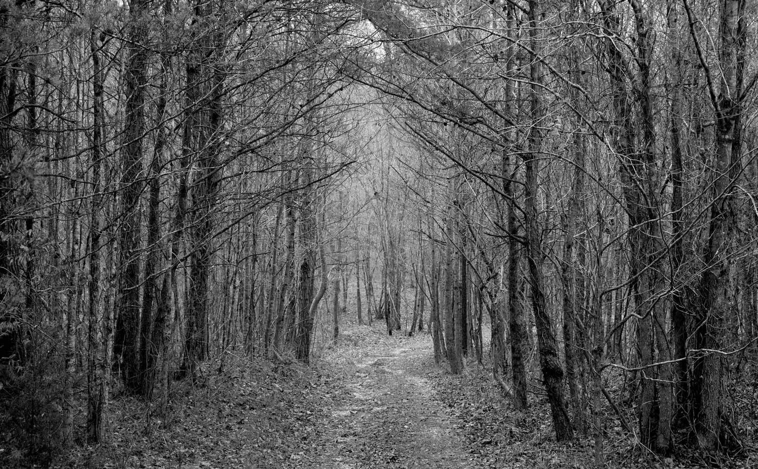 Winter Running Pants